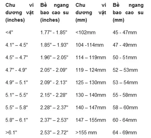 Các Kích Cỡ Bao Cao Su