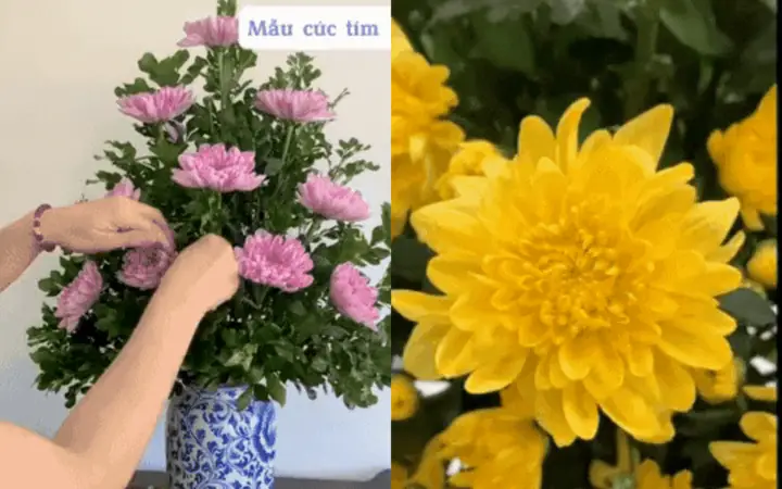 Các Kiểu Cắm Hoa Cúc Vàng Để Bàn Thờ
