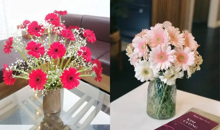 Các Kiểu Cắm Hoa Đồng Tiền