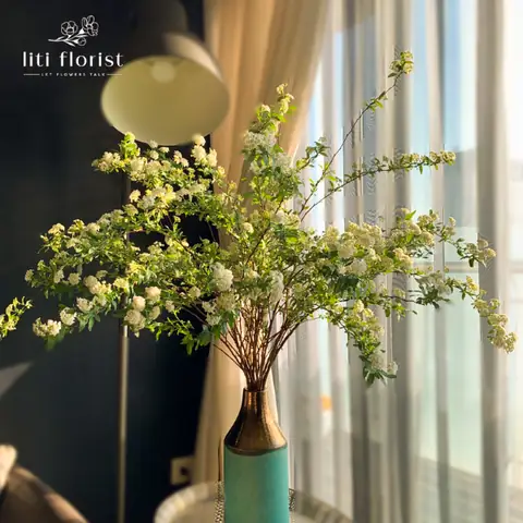 Các Loại Bình Cắm Hoa Tuyết Mai