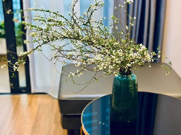 Các Loại Bình Cắm Hoa Tuyết Mai
