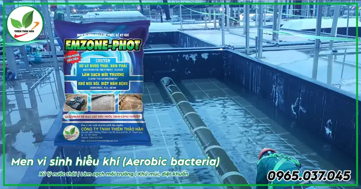 Các Loại Men Vi Sinh Trên Thị Trường