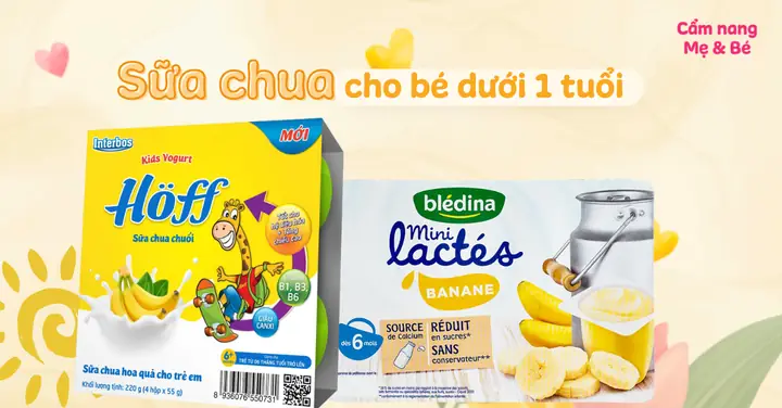 Các Loại Sữa Chua Cho Bé Dưới 1 Tuổi