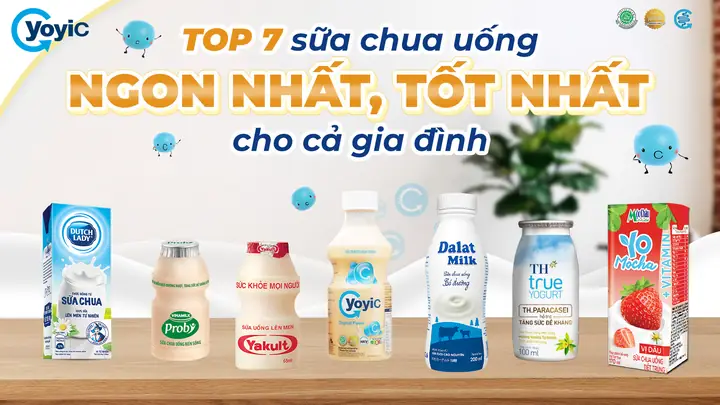 Các Loại Sữa Chua Trên Thị Trường