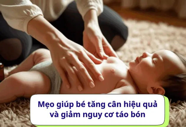 Các Loại Sữa Không Gây Táo Bón