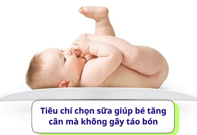 Các Loại Sữa Không Gây Táo Bón
