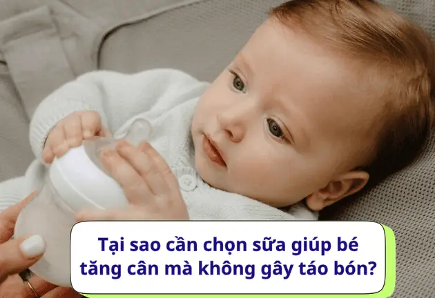 Các Loại Sữa Không Gây Táo Bón