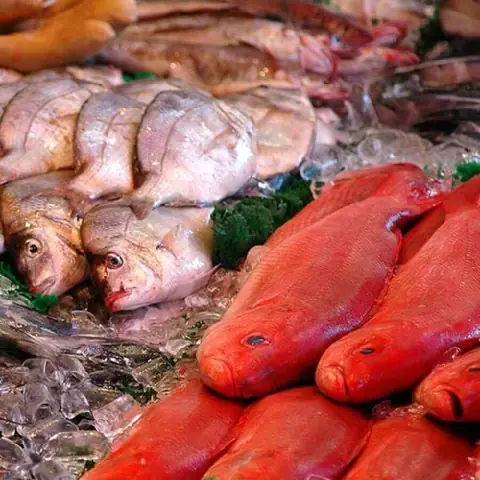 Các Loại Thịt Cá Tốt Cho Bà Bầu