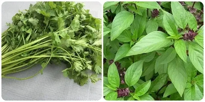 Các Loại Tinh Dầu Thơm Tốt Cho Sức Khỏe