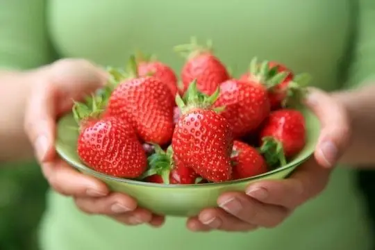 Các Loại Trái Cây Cho Bé