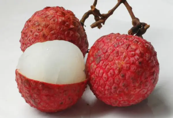 Các Loại Trái Cây Cho Bé