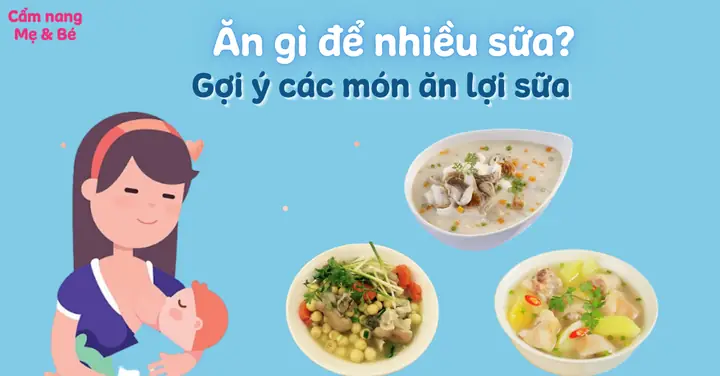 Các Món Ăn Lợi Sữa Cho Sản Phụ Các Món Ăn Lợi Sữa Cho Sản Phụ