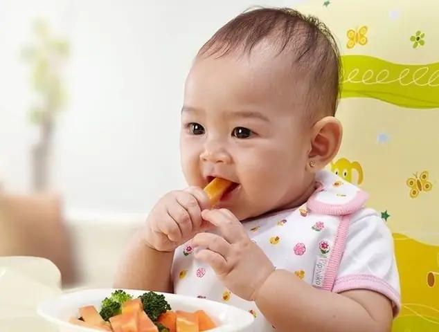 Các Món Cháo Cho Trẻ 9 Tháng Tuổi