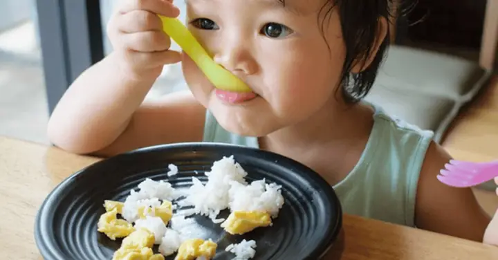 Các Món Cho Trẻ Tập Ăn Cơm