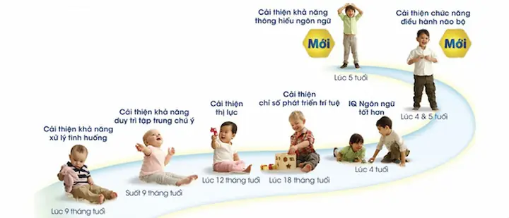 Các Thời Kỳ Phát Triển Của Trẻ Em