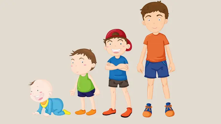 Các Thời Kỳ Phát Triển Của Trẻ Em