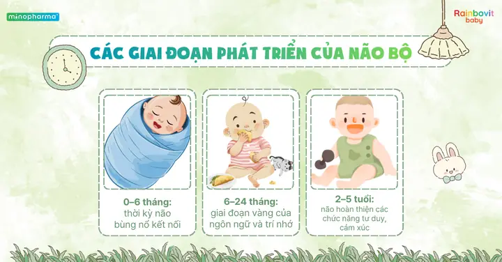 Các Thời Kỳ Phát Triển Của Trẻ Em