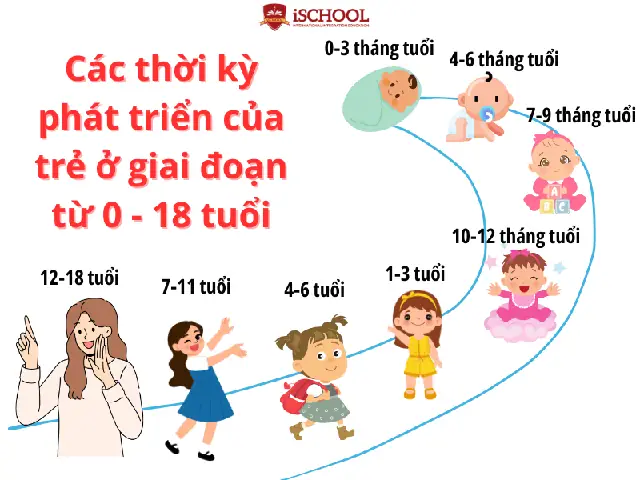 Các Thời Kỳ Phát Triển Của Trẻ Em