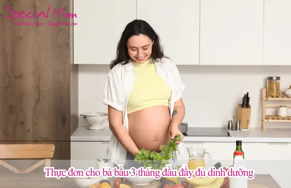Các Thực Đơn Cho Bà Bầu 3 Tháng Đầu