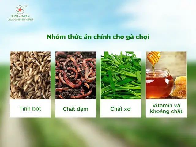 Cách Ăn Trứng Gà Để Tăng Cân