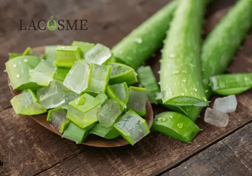 Cách Bảo Quản Gel Nha Đam