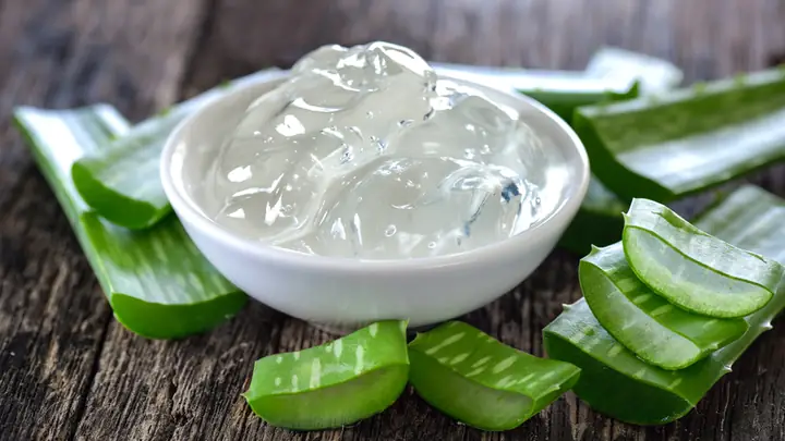 Cách Bảo Quản Gel Nha Đam Cách Bảo Quản Gel Nha Đam