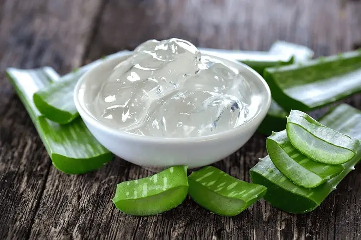 Cách Bảo Quản Gel Nha Đam Cách Bảo Quản Gel Nha Đam