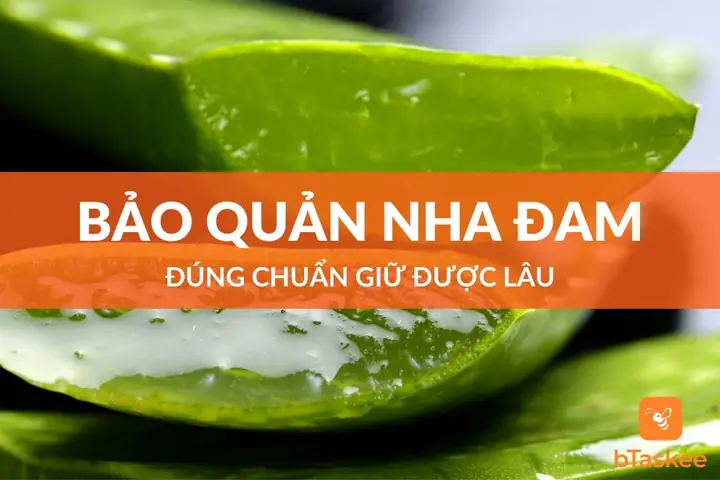 Cách Bảo Quản Gel Nha Đam Cách Bảo Quản Gel Nha Đam