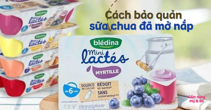 Cách Bảo Quản Sữa Chua Cho Bé