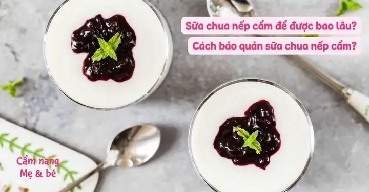 Cách Bảo Quản Sữa Chua Nếp Cẩm Tự Làm
