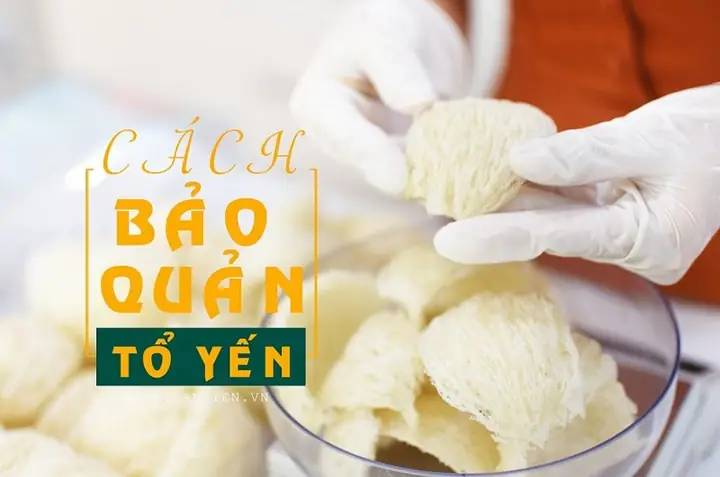 Cách Bảo Quản Tổ Yến Đã Chưng Cách Bảo Quản Tổ Yến Đã Chưng