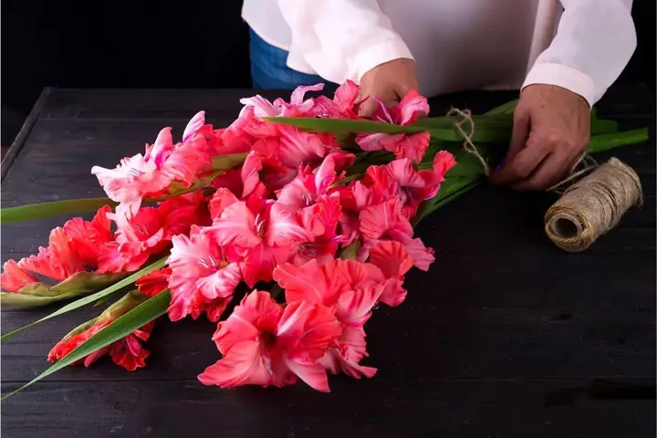 Cách Bó Hoa Lay Ơn Đẹp