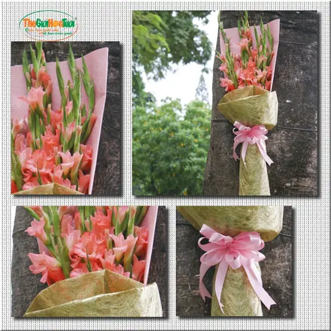 Cách Bó Hoa Lay Ơn Đẹp