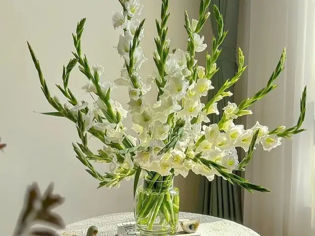 Cách Bó Hoa Lay Ơn Đẹp