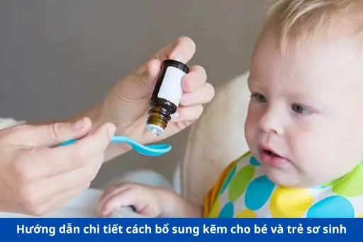 Cách Bổ Sung Kẽm Cho Trẻ Sơ Sinh