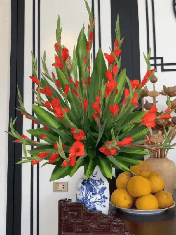 Cách Cắm Bông Lay Ơn Đẹp