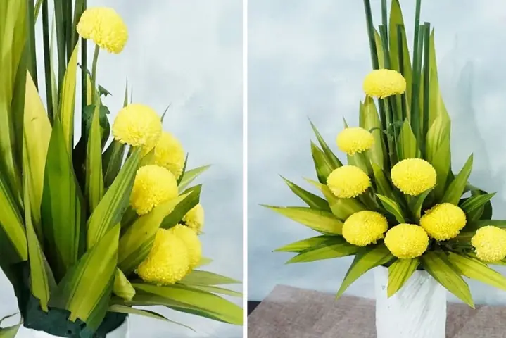 Cách Cắm Hoa Cúc Đẹp Nhất