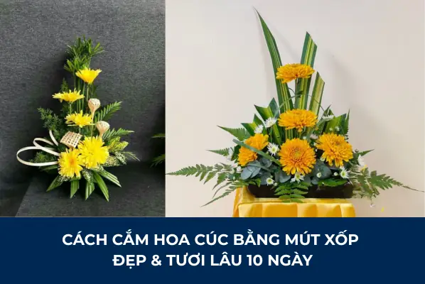 Cách Cắm Hoa Cúc Đẹp Nhất