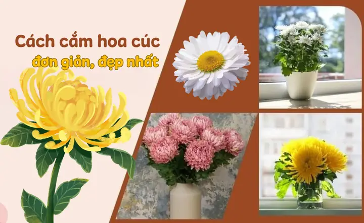 Cách Cắm Hoa Cúc Đẹp Nhất
