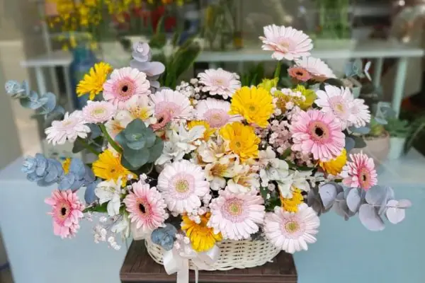 Cách Cắm Hoa Đồng Tiền Để Bàn
