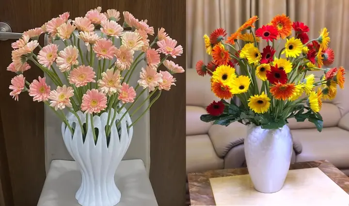 Cách Cắm Hoa Đồng Tiền Đơn Giản