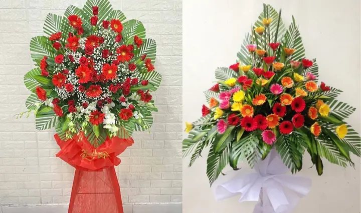 Cách Cắm Hoa Đồng Tiền Và Hoa Hồng Cách Cắm Hoa Đồng Tiền Và Hoa Hồng
