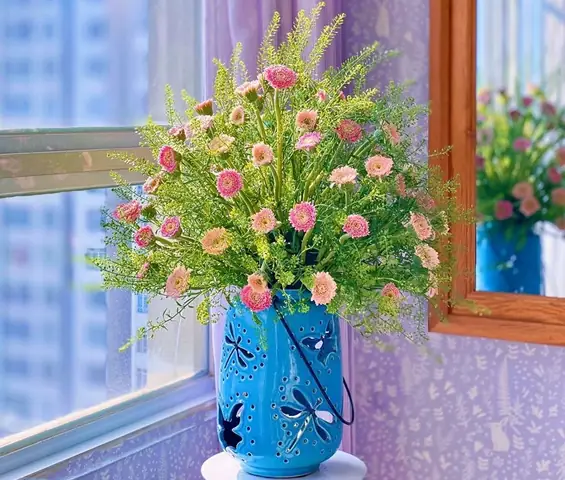 Cách Cắm Hoa Đồng Tiền Và Hoa Hồng Cách Cắm Hoa Đồng Tiền Và Hoa Hồng