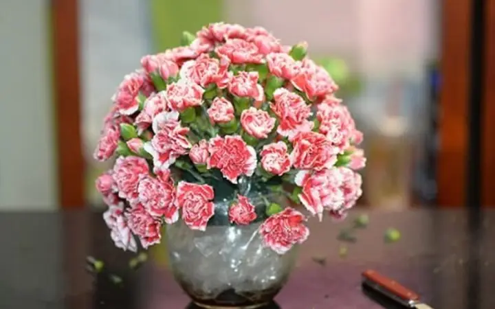 Cách Cắm Hoa Hồng Bình Tròn