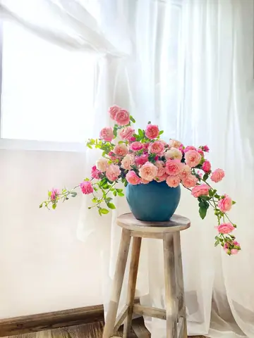 Cách Cắm Hoa Hồng Leo Đẹp