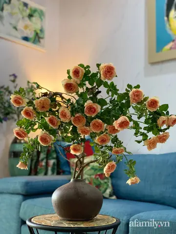 Cách Cắm Hoa Hồng Leo Đẹp
