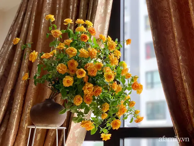 Cách Cắm Hoa Hồng Leo Đẹp