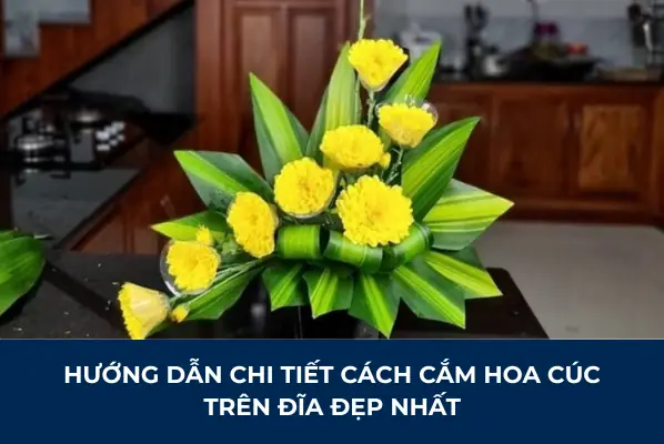 Cách Cắm Hoa Hồng Trên Đĩa