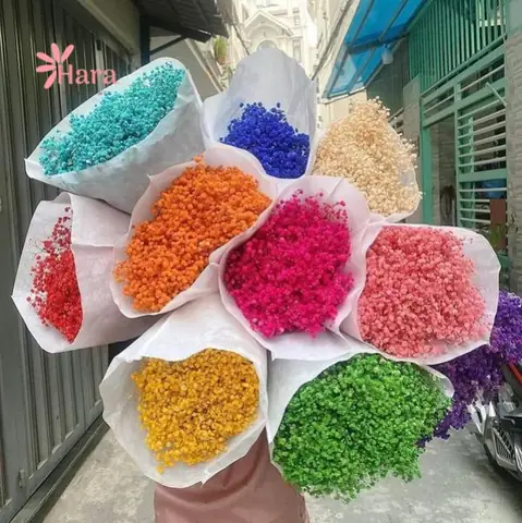 Cách Cắm Hoa Khô Nhiều Màu