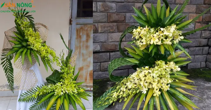 Cách Cắm Hoa Lan Đơn Giản